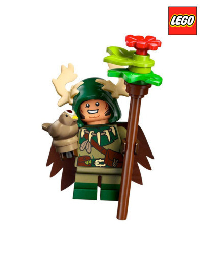 Dungeons & Dragons LEGO Minifigures (71047) ~ Pick Your Figure ~ NEW - Picture 13 of 19