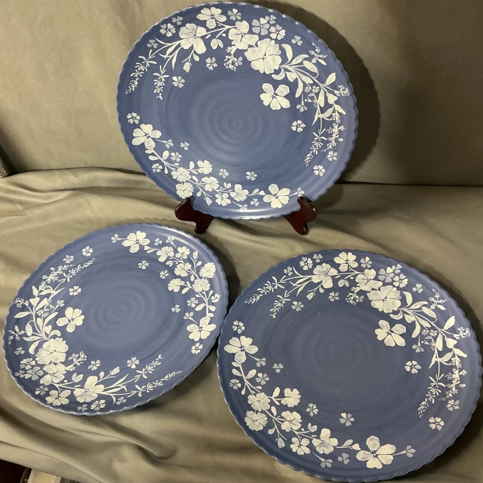 Platos de melamina Pioneer Woman azul margarita 6 Foto 2 de 4