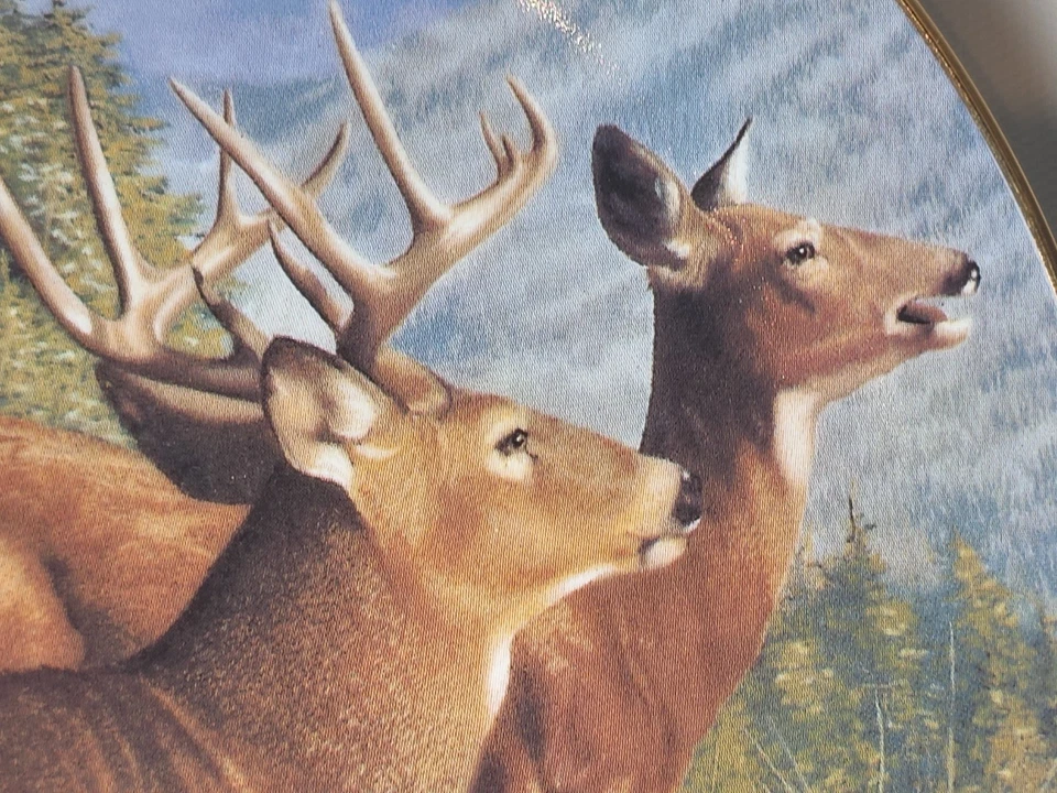 QTY 5 Danbury Mint Whitetail Buck Doe Deer Hunting Wildlife Plates Bob Travers - Image 4 of 4