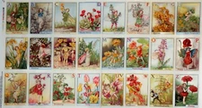 Alphabet Flower Fairies Panel ABC 24 Fairy Blocks Cicely Mary Barker Fabric 23"