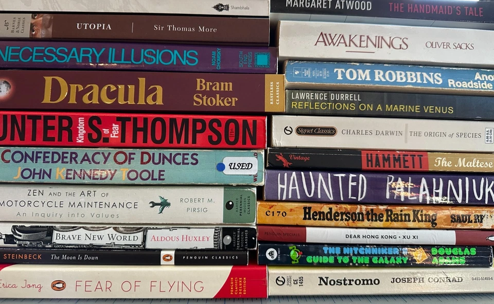 BUILD YOUR OWN LOT Subversive Books/Cult Novels/Classic Lit - Bundle & Save! - Image 3 of 4