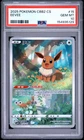 2025 POKEMON SIMPLIFIED CHINESE CBB2 C-GEM PACK VOL 2 #15 EEVEE PSA 10