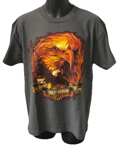 Harley Davidson Men's Legend Rides On Short Sleeve T-Shirt Gray 3002467