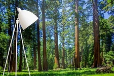 3D Forest Sky Landscape Self-adhesive Removeable Wallpaper Wall Mural1