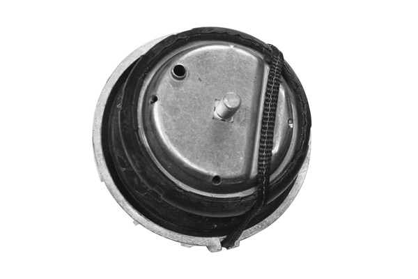 Support moteur Tedgum TED46098 pour Mercedes Vito Viano W639