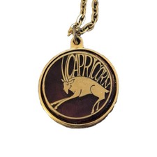 Zodiac Sign Astrology Horoscope Pendant Necklace Capricorn Gold Tone 20 In Chain