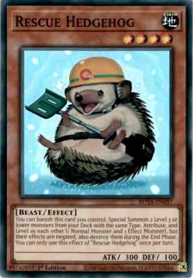 [3x PLAYSET] YuGiOh - Rescue Hedgehog - ROTA-EN097 NM 1st Ed Super Rare