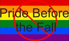 Anti Pride, Anti Woke, Anti LGBT, Bumper stickers, Lap top sticker, Political