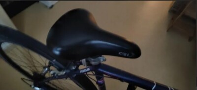 Fahrrad Focus Trekking aus der Serie Black