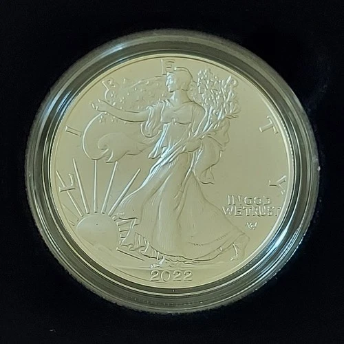 2022-W UNC "Burnished"  1 OZ .999 Fine  Silver American Eagle, in OGP w/ COA