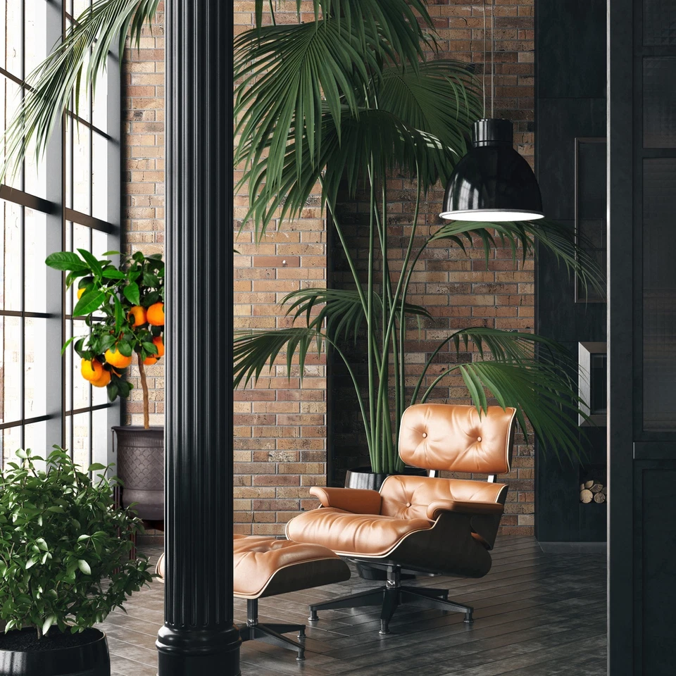 Blumenständer Pflanzenhalter Topfständer Kübelgestell 60 kg 1,11 kg Topfhalter - Bild 3 von 4