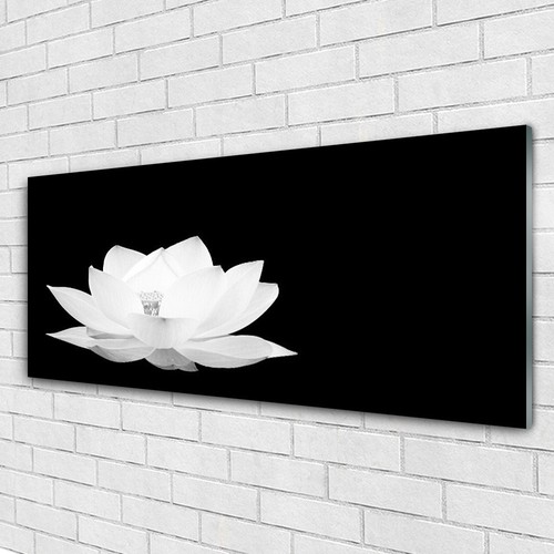 IMPRESSION SUR VERRE acrylique Image tableau 125x50 Floral Fleurs EUR