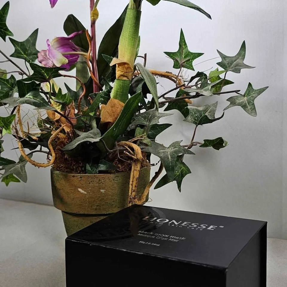 Máscara de ónix negro Lionesse Gem Skin Care con caja 72 g 2,54 oz Foto 3 de 4