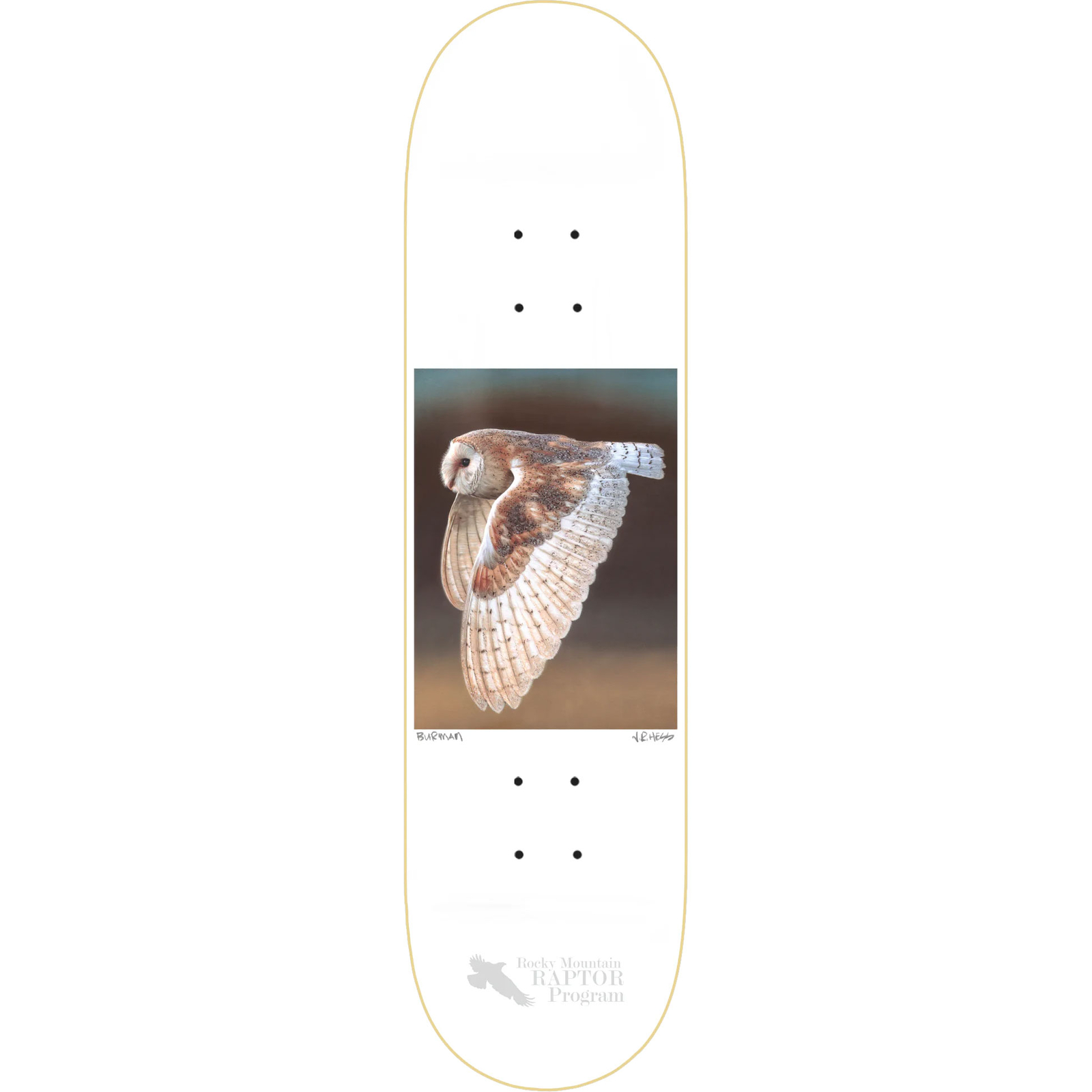 Zero Skateboard Deck Dane Burman Barn Owl 8.37