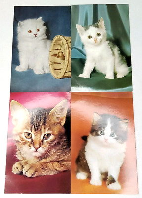 MCM Real Photo Post Card Alfred Mainzer RPPC Cat Lot Of 4 Unposted 1950s Rare