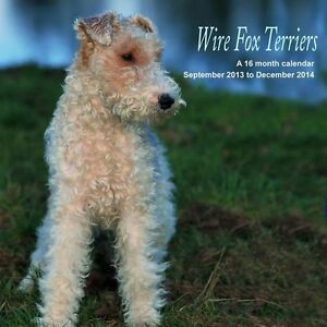 WIRE FOX TERRIERS 2014 SQUARE UK WALL CALENDAR BRAND NEW ...