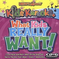 Various Artists : Drews Famous Kids Karaoke What Kids Want CD DISC ONLY #P503