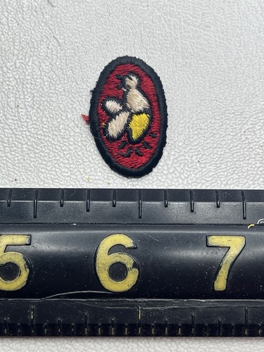Vtg Itty-Bitty-Tiny I Think ? Tiny Chicken Chick Hatching ? Patch K033
