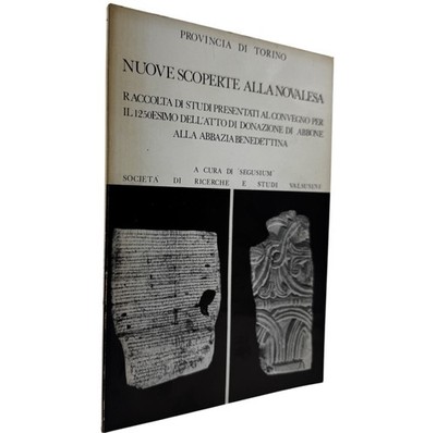 Neufunde in Novales Benediktinerabtei Hochmittelalter Archäologie Kunst