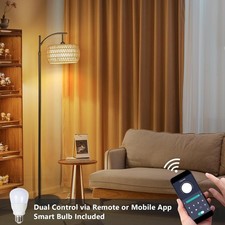 Arc Floor Lamp with 3 Color Temperatures, LED Gold Floor Lamp with Remote  black  