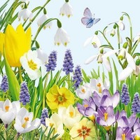 20 Servietten Spring Time Bunte FrüHlingswiese Krokus Narzisse Blumen 33X33Cm