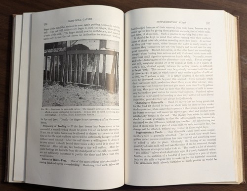 Beef Cattle Their Feeding and Management in the Corn Belt States by Snapp 1939 - Picture 9 of 15