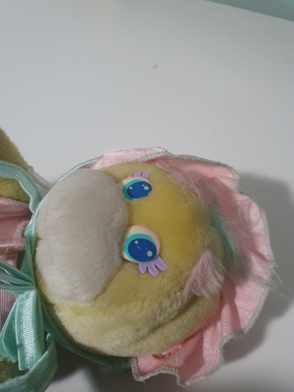 Picture 6 of 6