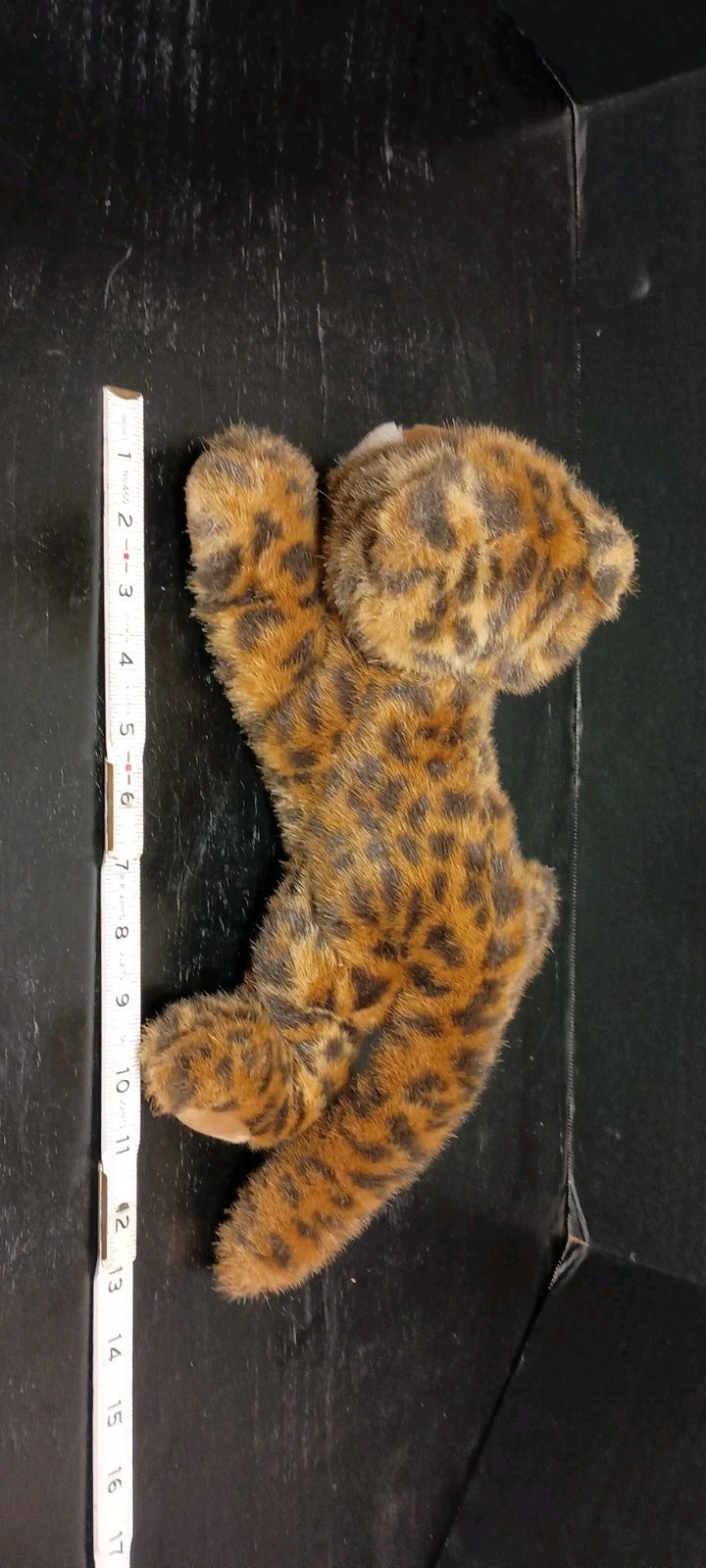Picture 10 of 10