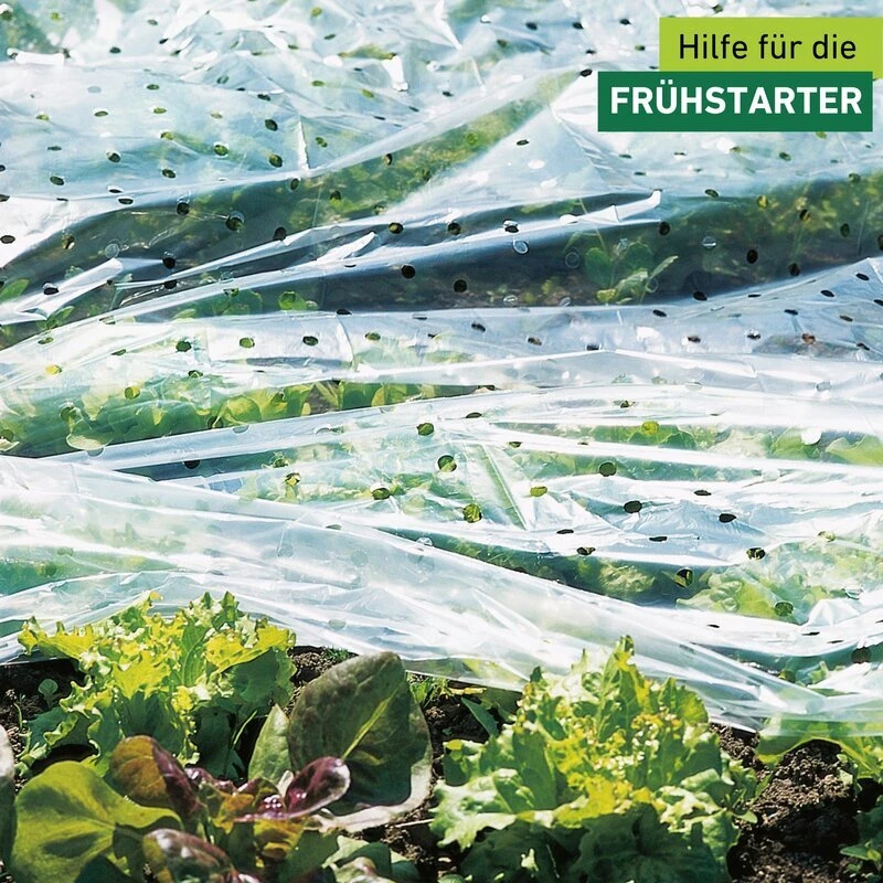 WINDHAGER Frühbeet Folie gelocht, 10 x 1,5 m, 20 µm, transparent