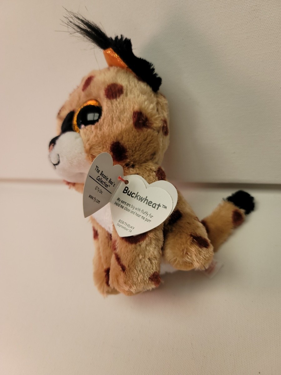 Ty Beanie Boos - BUCKWHEAT the Lynx (6 Inch) NEW With Tags | eBay