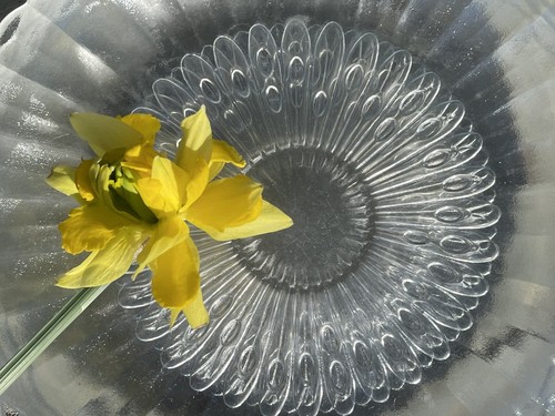 Libbey Glass Boquet Clear Dinnerware Set of 8 Plates Bowls - Picture 5 of 7
