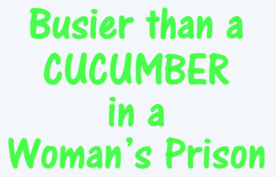 Busier Than A Cucumber Decal Sticker For Ford Chevy Dodge JDM Honda Mazda Truck