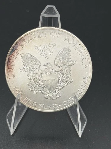 2013 $1 American Silver Eagle 1oz .999 Fine Silver Uncirculated Toning