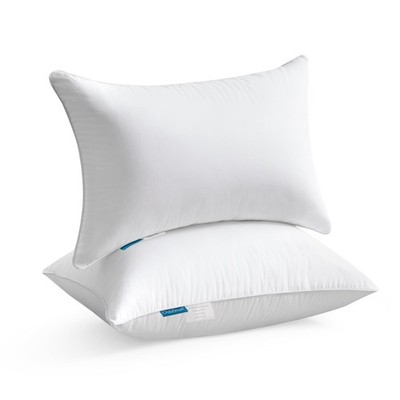 12x20 Lumbar Throw Pillow Inserts 2 Pack, 100% Cotton Breathable Cover Plump ...