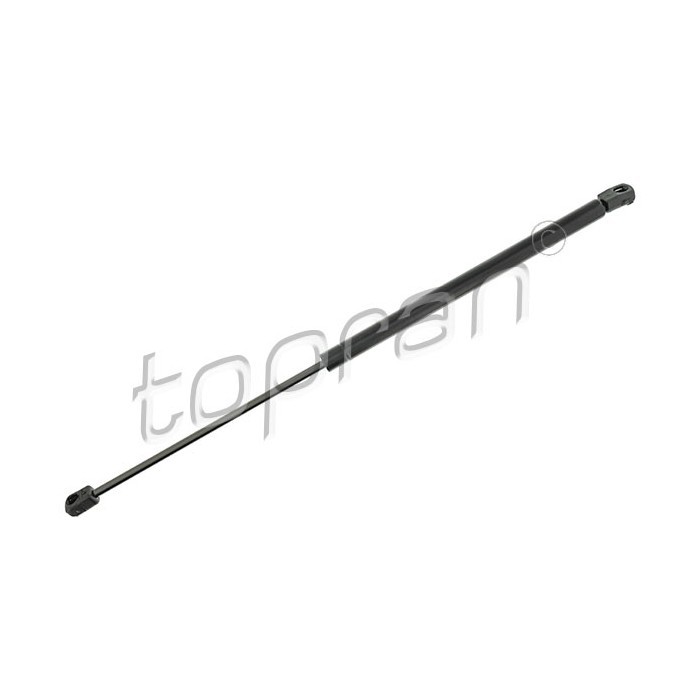 Vérin de coffre Megane II 8200212598 idéal pour charger vos courses