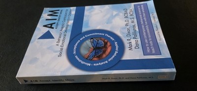 AIM Behavior Analytic Curriculum for Social-Emotional Development Dixon Paliliun
