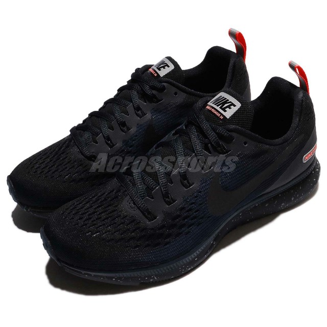 pegasus 34 vs winflo 4