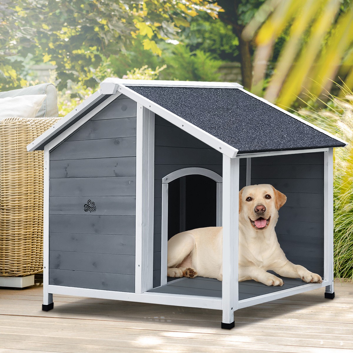 Kennel Dog House Cheap Outdoor Kennels Elite 6x8 Dog Kennels