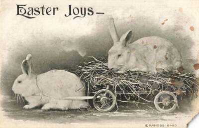 c1910 Fantasy Rabbits Cart Hay Anthropomorphic Easter P326