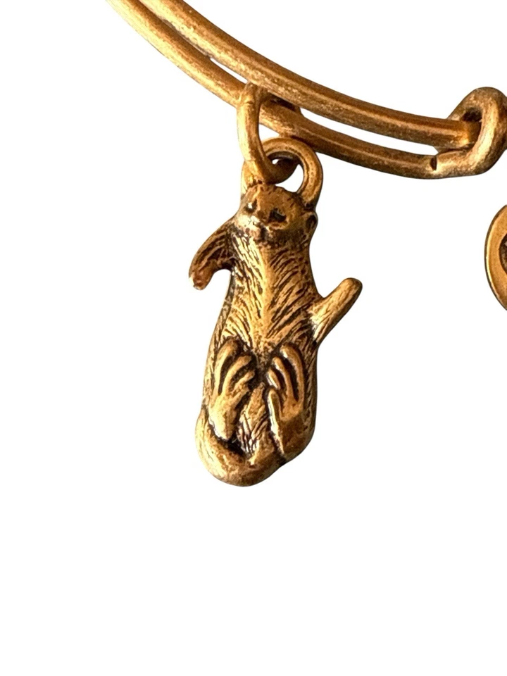 Brazalete colgante Alex and Ani tono dorado nutria encanto Foto 2 de 4