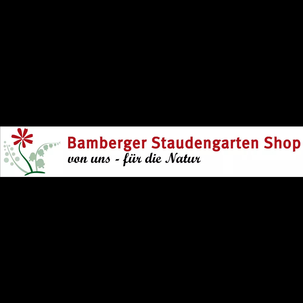 Bild 9 von 9