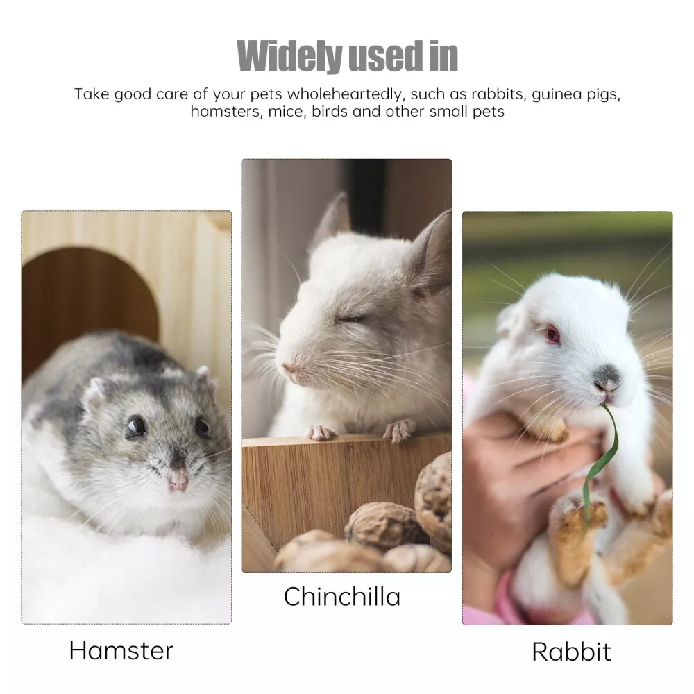 Hamsters in Cups — Comparison of Hamster-in-Cup Game Apps The 3