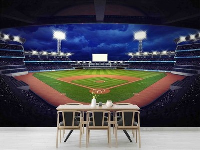3D Baseball Stadium Landscape Wall Murals Wallpaper Murals Wall Sticker 42