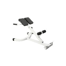 Adjustable Roman Chair Back Extension Exercise Bench Back Training Supine Board