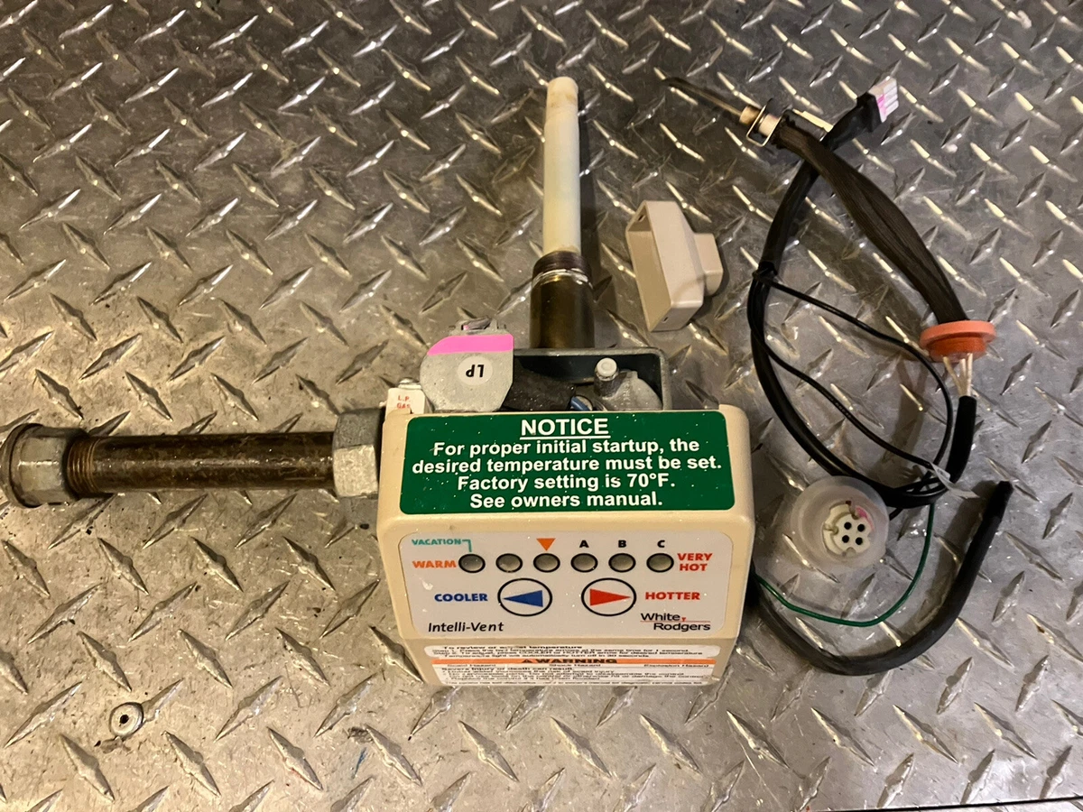 Rheem AP13846A-1 Water Heater LP Gas Valve with Igniter u0026amp; Vapor Sensor.FAST  SHIP | eBay