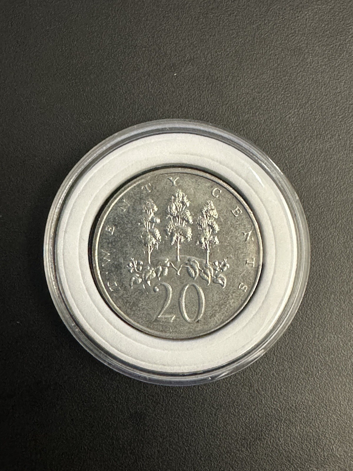 Foto 1 di 5