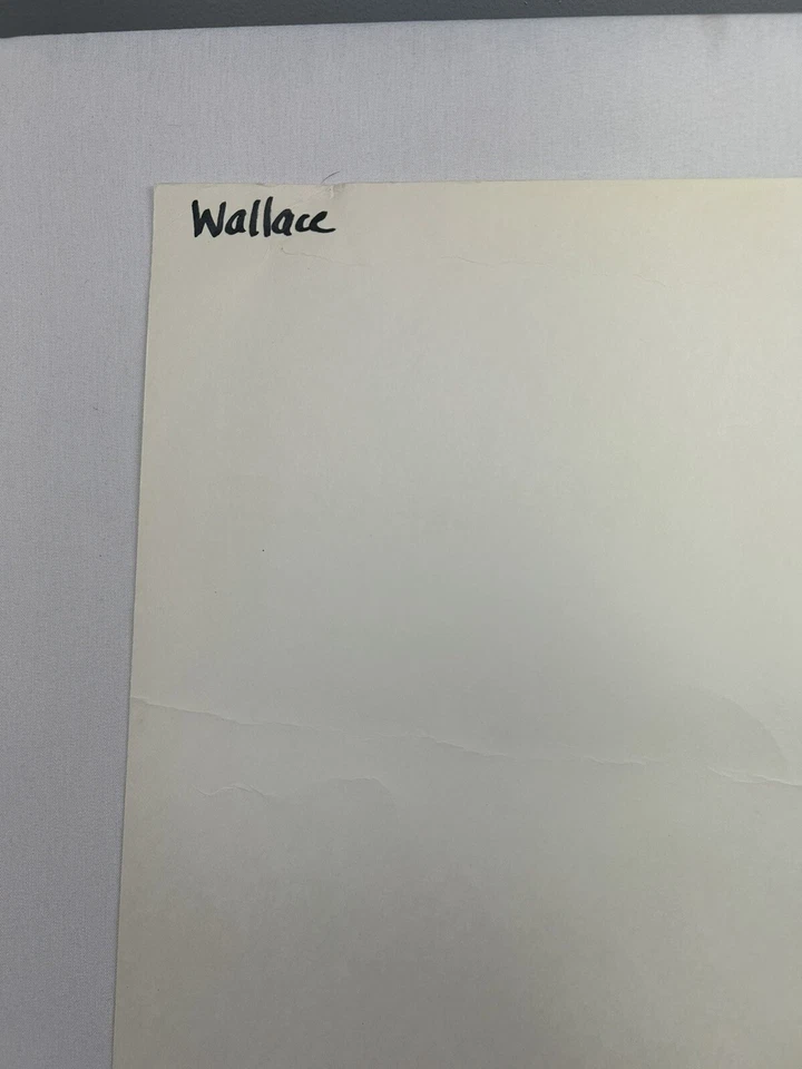 *RARE* Pancakes, Pancakes! Eric Carle TEACHER BIG BOOK 23" x 16" Easel Book - Image 2 of 4