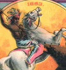 1883 Scrap Dr. Morse's Indian Root Pills Bear Attack Horse Native American F130