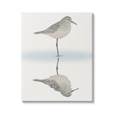Stupell Industries Soothing Sandpiper Bird Standing Ocean Shoreline Reflectio...