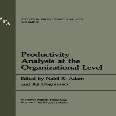 Productivity Analysis at the Organizational Level Springer Nature